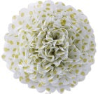 Set of 5 - Pom Poms Gold/Silver/Polka Dots 6 Inch 10 Inch and 12 Inch