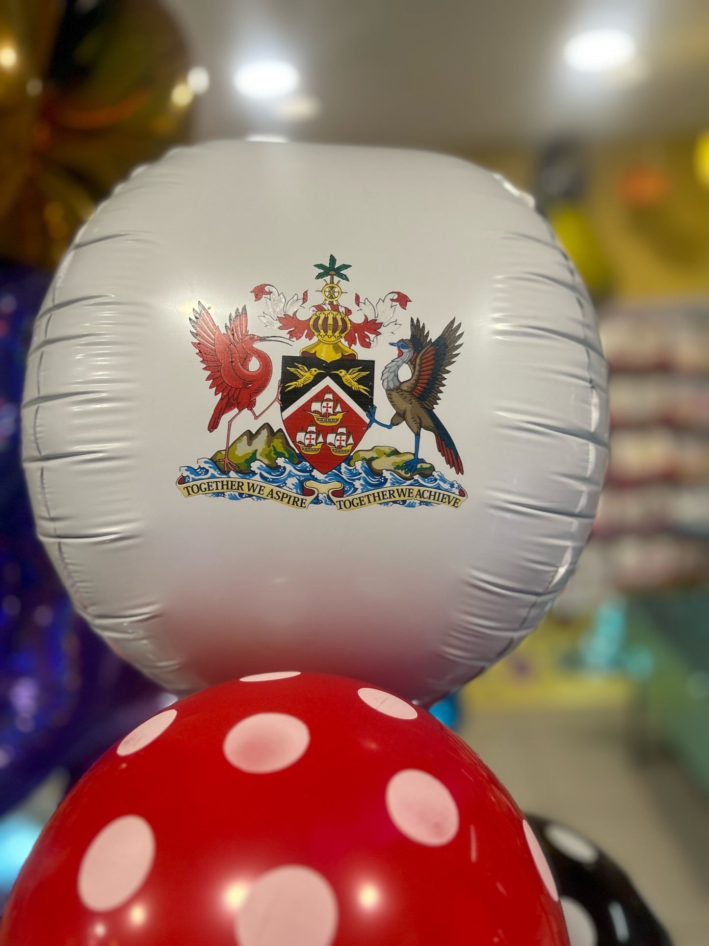 Custom Printed 22 Inch Ball Foil Balloon