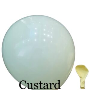 Pastel Latex Balloon 10 Inch