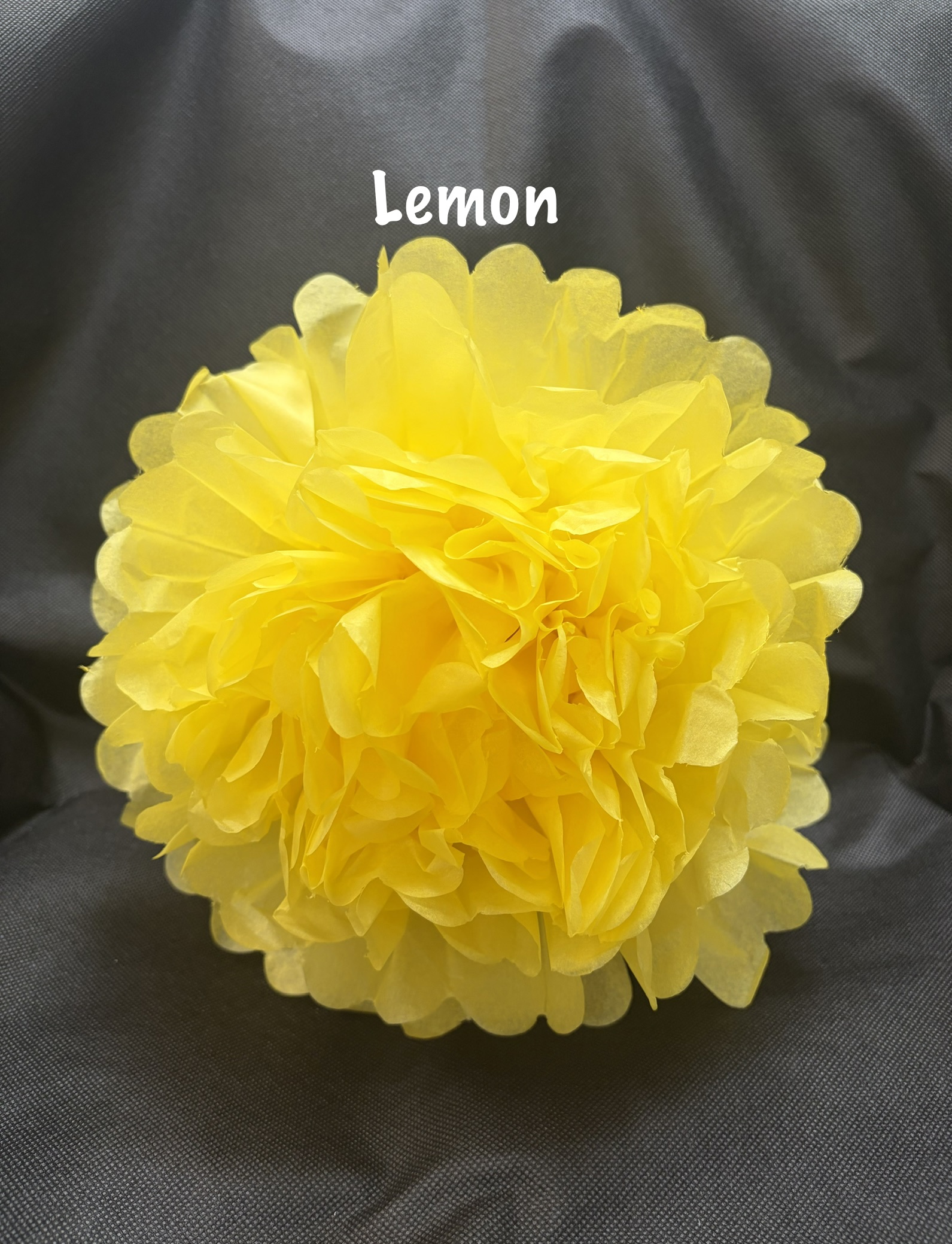 Pom Poms 12 Inch Solid Colours - Image 8